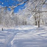 Parcours mont Bonnet