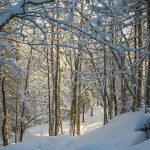 Parcours mont Bonnet